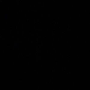 Meet your Posher, Raunak